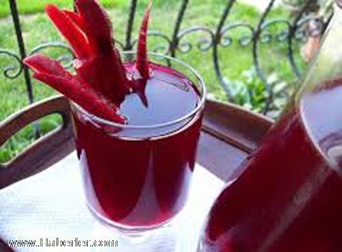 Antibiyotik yerine �algam