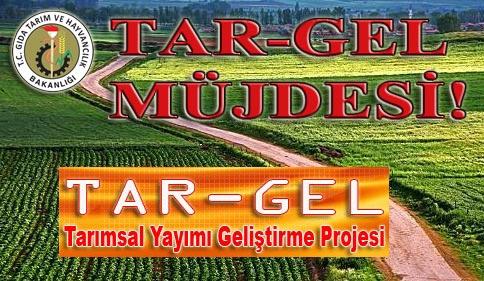 TARGEL �ALIޞANLARININ SIKINTILARI