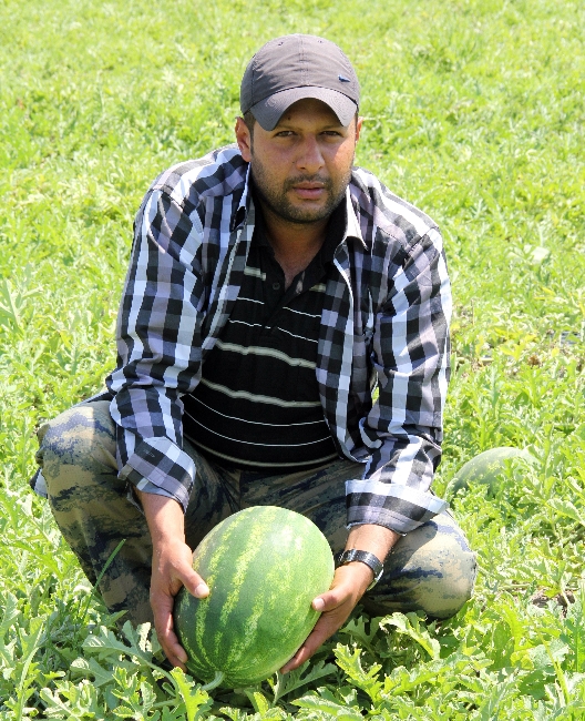 KARPUZ �RET�C�LER� HASAT ���N G�N SAYIYOR