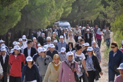 Romatizmal� Ad�mlar