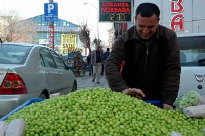 Hadi Ye�il Erik Yiyelim