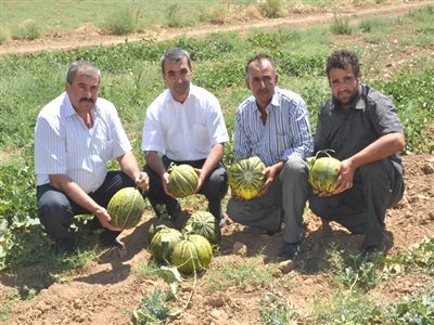 Hac�bekir Kavunu ޞerefliko�hisar Ad�na Tescillenecek