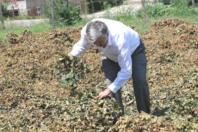 F�nd�k Toprakta De�il, Betonda Kutulmal�