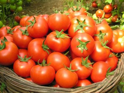 (�zel Haber) Domates Tarlada 20 Kuru�, Markette 2 Lira