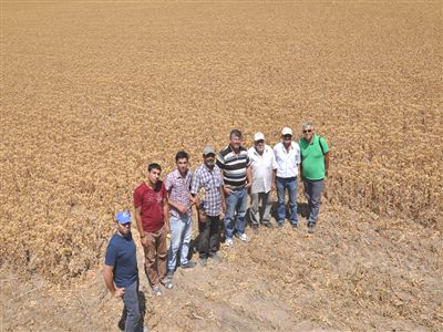 Ba�kent'te Aspir Hasad� Ba�lad�
